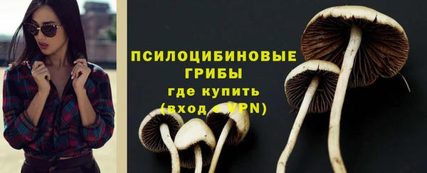 молекула духа Елизово