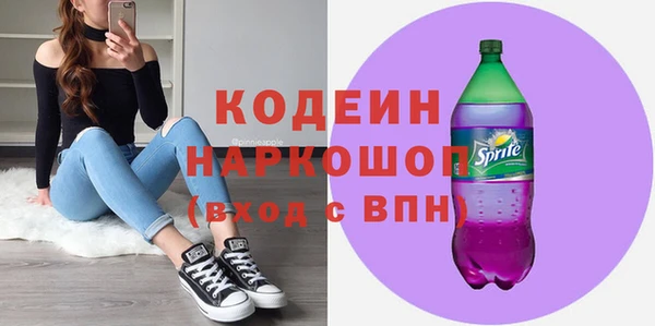 молекула духа Елизово
