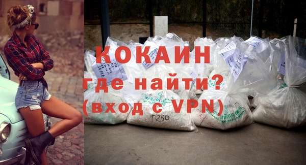 молекула духа Елизово