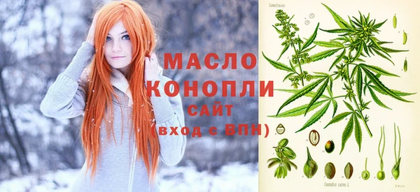 молекула духа Елизово