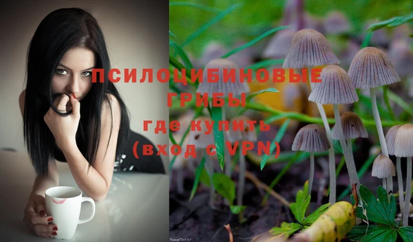 молекула духа Елизово