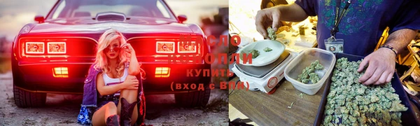 тгк Елабуга