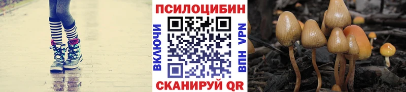 Галлюциногенные грибы мухоморы Зеленодольск