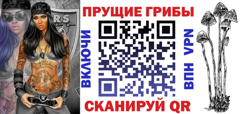 Галлюциногенные грибы Psilocybe  Зеленодольск 