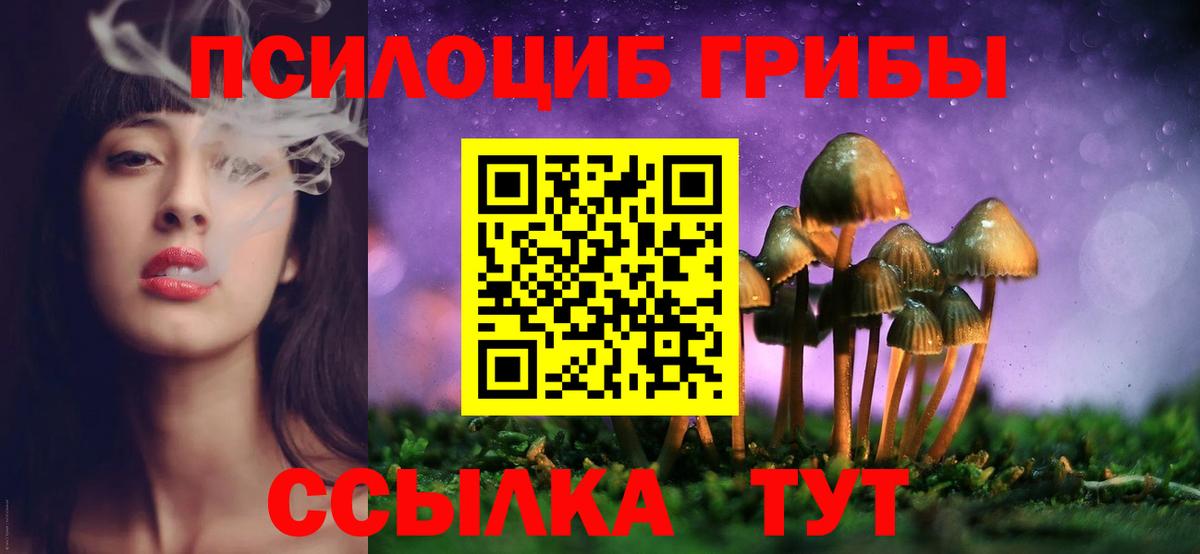 Зеленодольск  Псилоцибиновые грибы мухоморы  Вход с VPN 