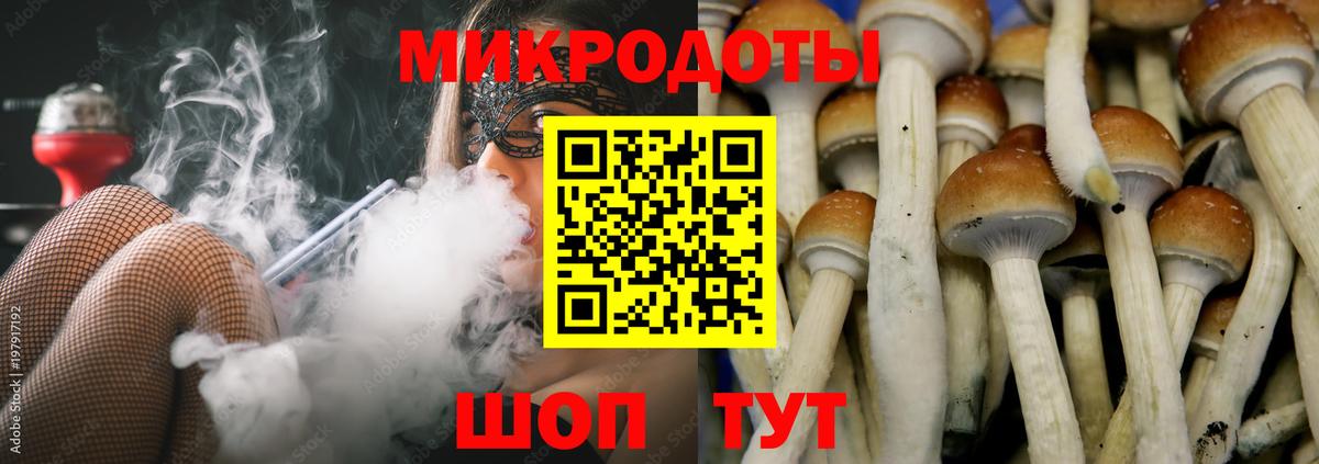 Галлюциногенные грибы Psilocybine cubensis Зеленодольск